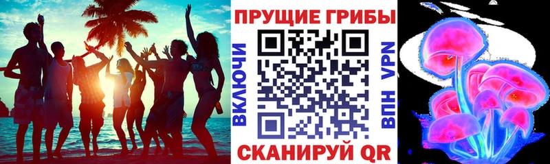 Купить  Приволжский  Псилоцибиновые грибы мицелий 