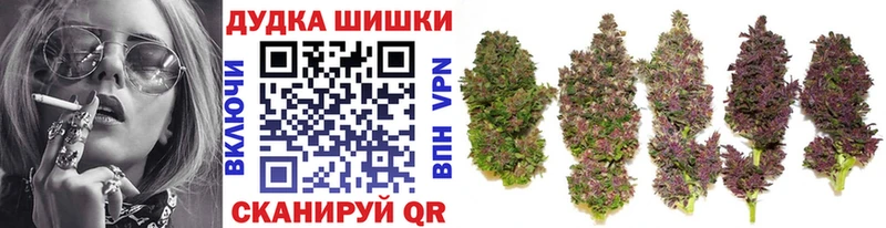 Канабис OG Kush Приволжский