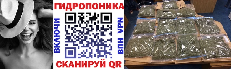 Купить закладки  Приволжский  Канабис OG Kush 